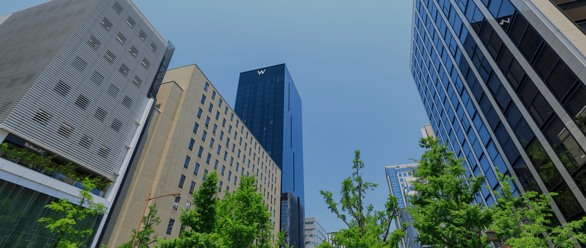 会社案内｜株式会社TYハウジング