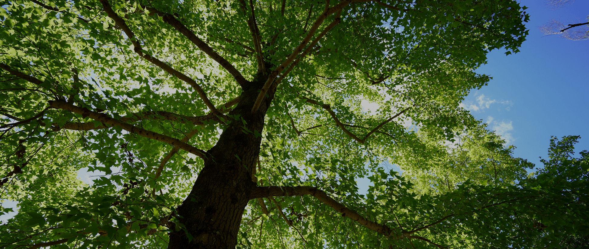 SDGsへの取り組み｜株式会社TYハウジング